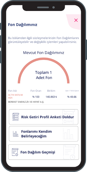 Fon dağılımınız ekranı